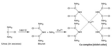 Biuret Reaction .